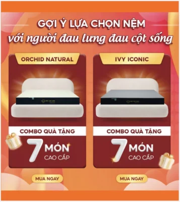 Gợi ý lựa chọn nệm