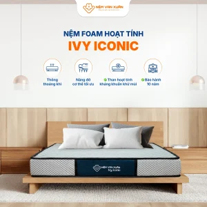 ivy iconic dac diem noi bat