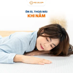 lavender hybrid thoai mai thoang mat