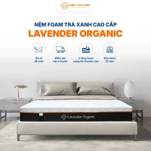lavender organic dac diem noi bat