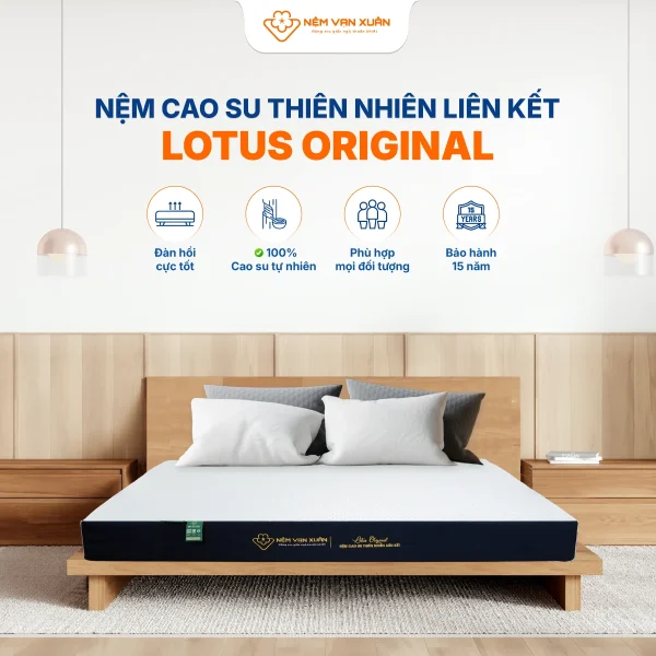lotus original diem noi bat