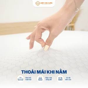 lotus original thoai mai thoang mat
