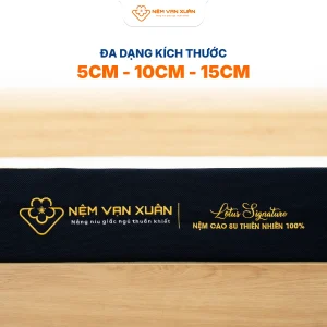lotus signature da dang kich thuoc