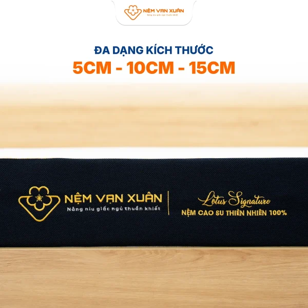 lotus signature da dang kich thuoc