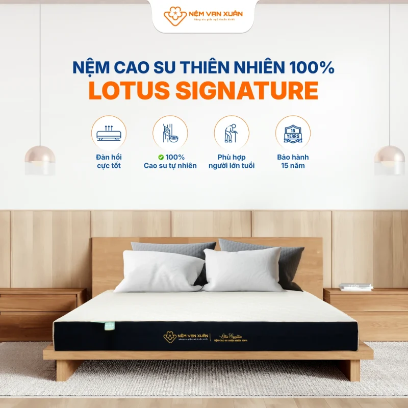 lotus signature dac diem noi bat