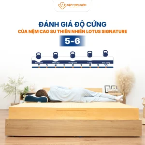 lotus signature danh gia do cung