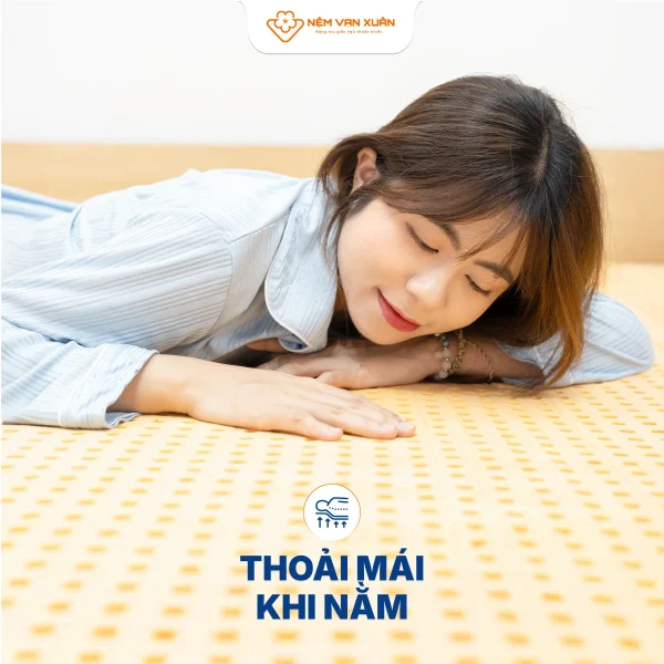 lotus signature thoai mai thoang mat