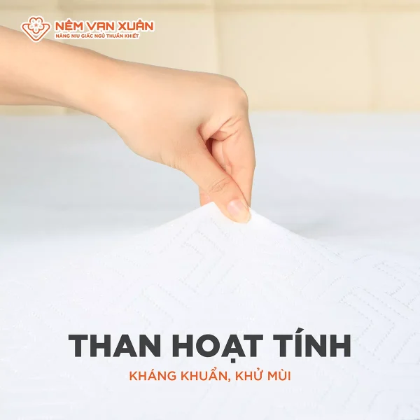 Nệm Cao Su Hoạt Tính Vạn Xuân Daisy Lively