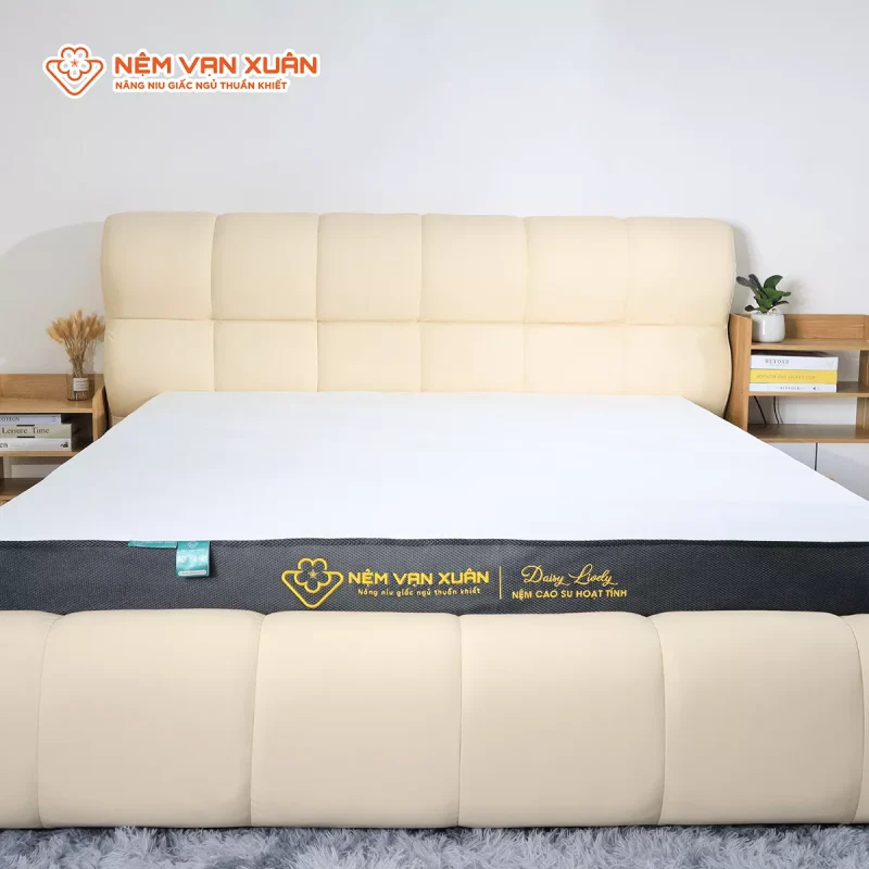 Nệm Cao Su Hoạt Tính Vạn Xuân Daisy Lively