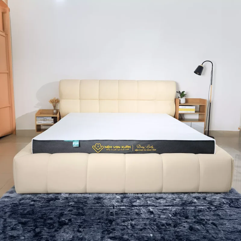 Nệm Foam Hoạt Tính Vạn Xuân Daisy Lively