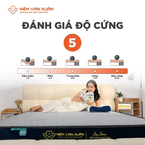 Nệm Foam Hoạt Tính Vạn Xuân Ivy Iconic