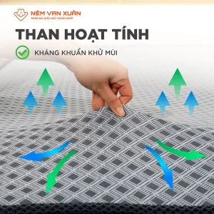 Nệm Foam Hoạt Tính Vạn Xuân Ivy Iconic