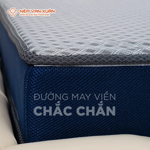 Nệm Foam Hoạt Tính Vạn Xuân Ivy Iconic