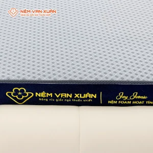 Nệm Foam Hoạt Tính Vạn Xuân Ivy Iconic