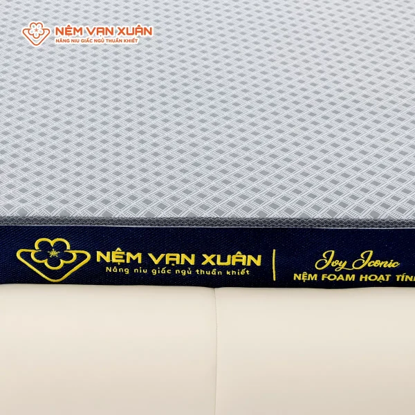 Nệm Foam Hoạt Tính Vạn Xuân Ivy Iconic