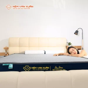 Nệm Foam Hoạt Tính Vạn Xuân Ivy Iconic