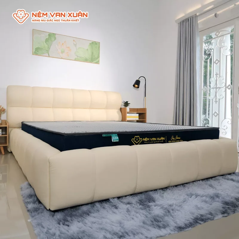 Nệm Foam Hoạt Tính Vạn Xuân Ivy Iconic