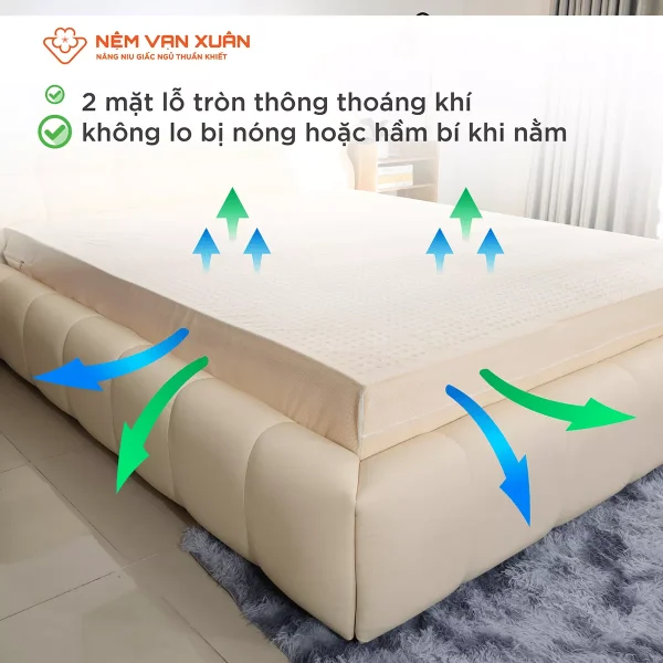 Nệm Cao Su Thiên Nhiên Liên Kết Vạn Xuân Lotus Original