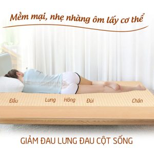 nệm cao su thiên nhiên hcm