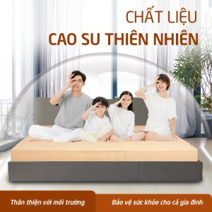 nệm cao su thiên nhiên hcm