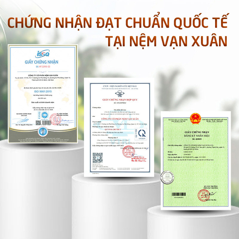 nệm cao su thiên nhiên hcm