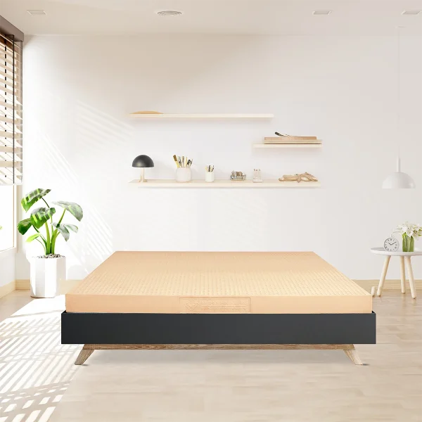 nem cao su thien nhien van xuan lotus signature