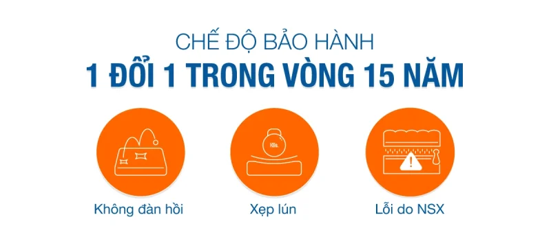 nem cao su thien nhien van xuan lotus signature