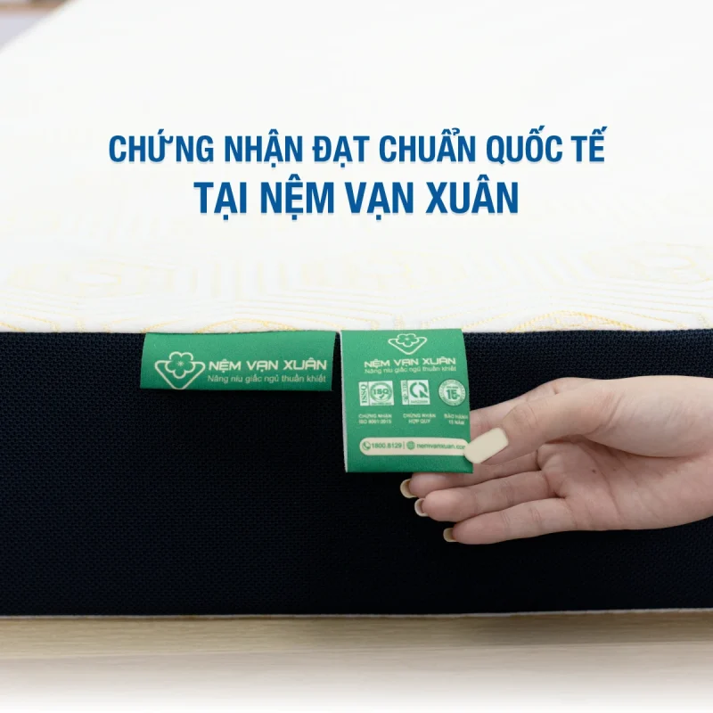 nem cao su thien nhien van xuan lotus signature