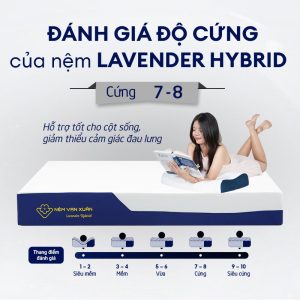 nệm foam hoạt tính thu hcm