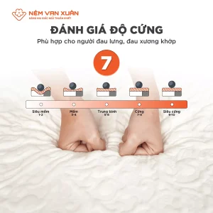 Nệm Foam Massage Cao Cấp Lavender Dreamy M.Aerofoam