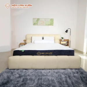 Nệm foam Vạn Xuân trà xanh cao cấp lavender organic aerofoam