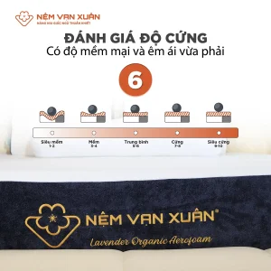 nệm foam trà xanh cao cấp lavender organic aerofoam