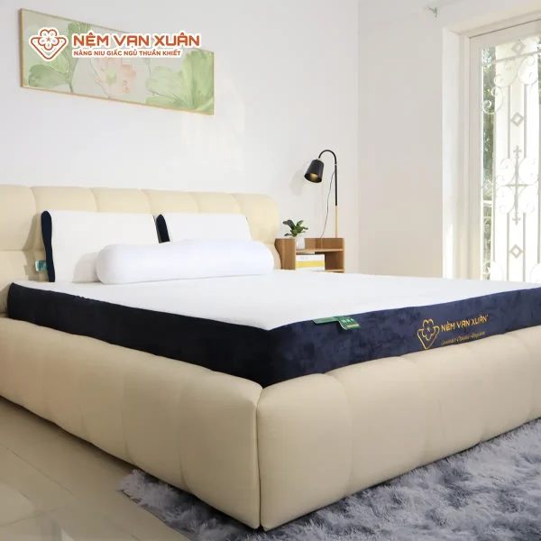 nệm foam trà xanh cao cấp lavender organic aerofoam