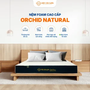 orchid natural dac diem noi bat