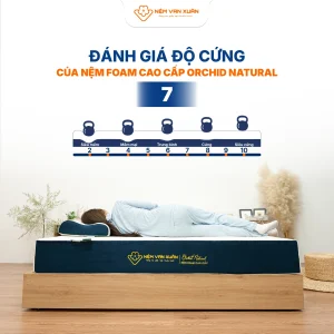 orchid natural danh gia do cung