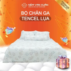 bộ chăn ga tencel lụa trắng