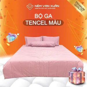 bộ ga tencel màu hồng