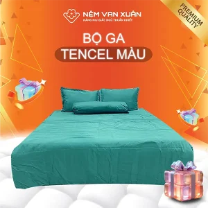 bộ ga tencel màu xanh