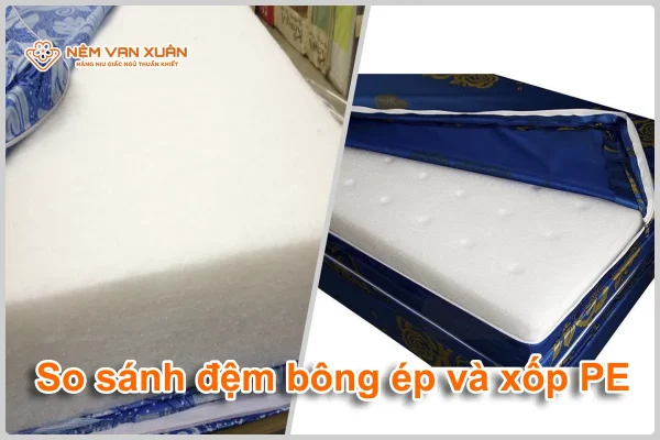 đệm bông ép và đệm xốp pe