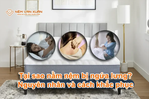 tại sao nằm đệm bị ngứa lưng