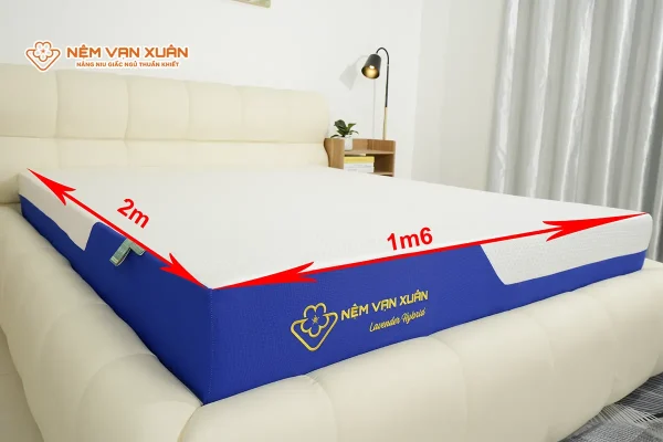 đệm 1m6 x 2m