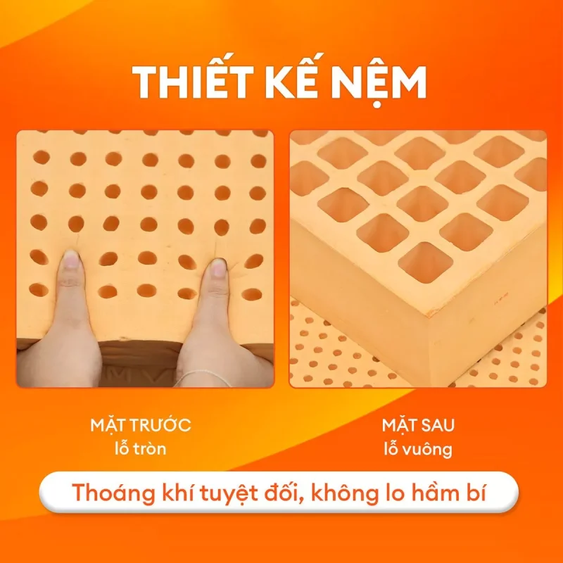 cấu tạo nệm cao su thiên nhiên