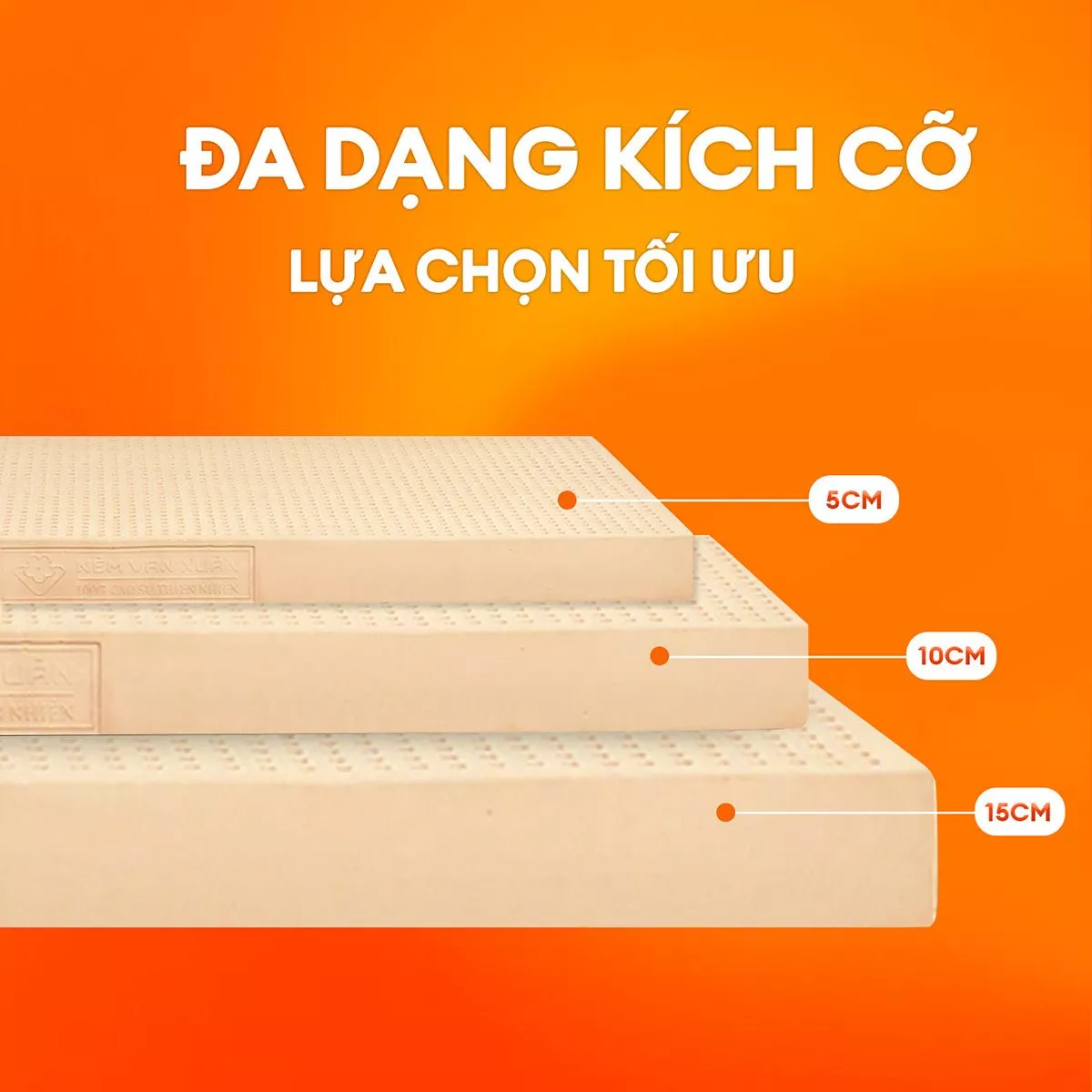 kích thước nệm cao su thiên nhiên