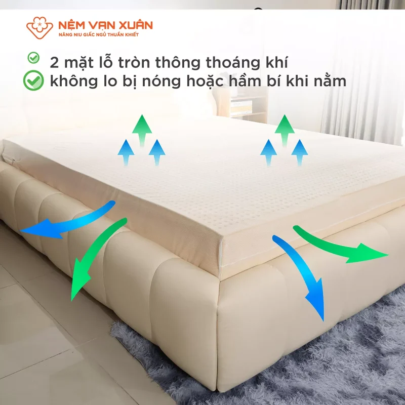 Giá nệm cao su thiên nhiên