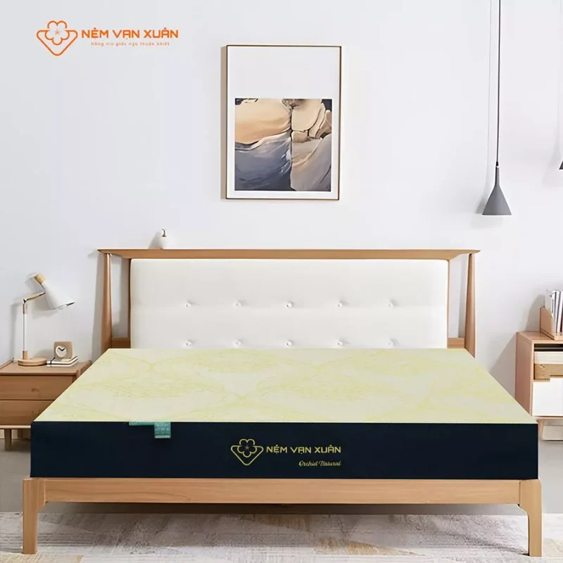 Nệm Foam Vạn Xuân Orchid Natural