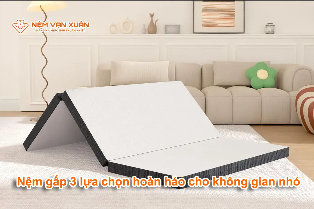 đẹm gấp 3 giá tốt