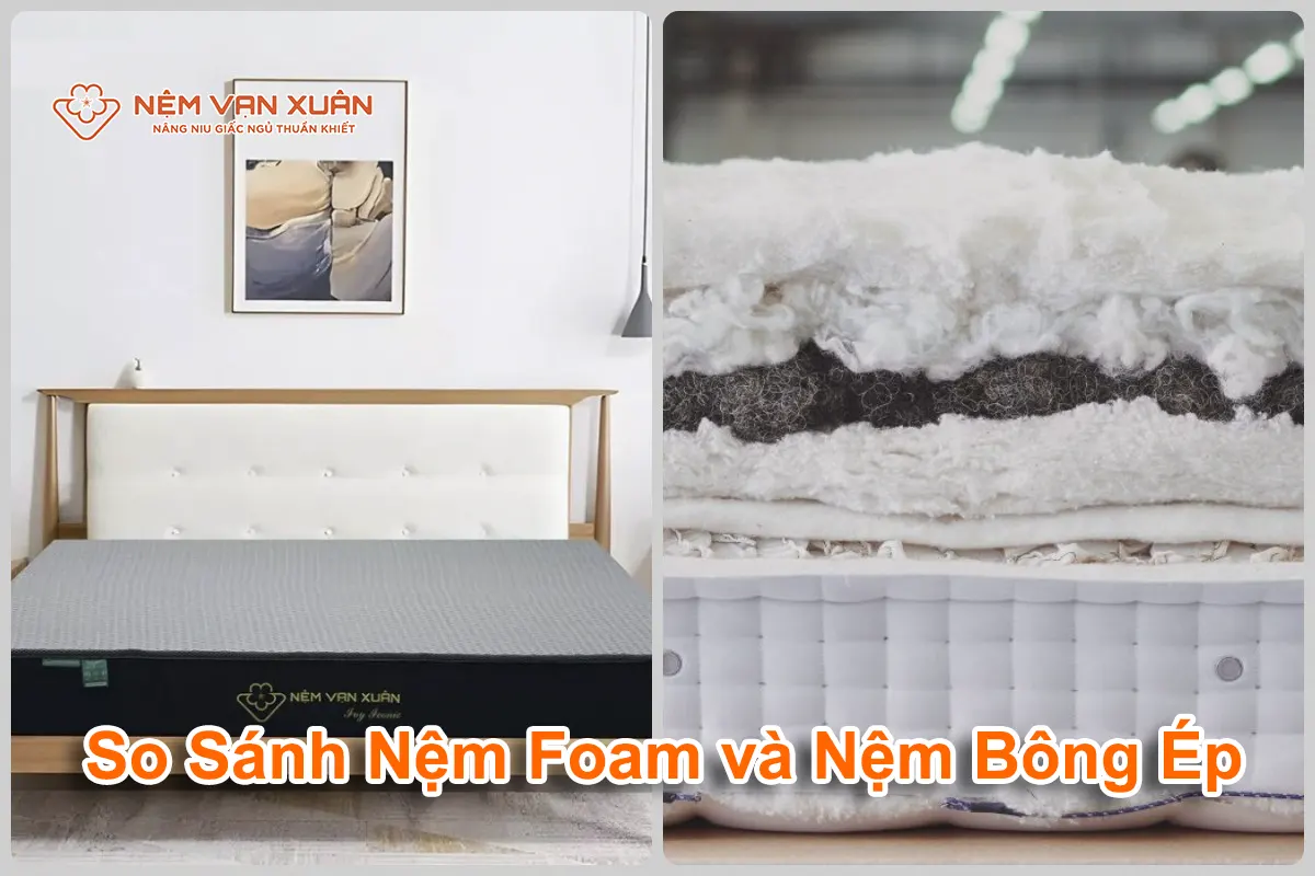 so sánh nệm foam với nệm bông ép