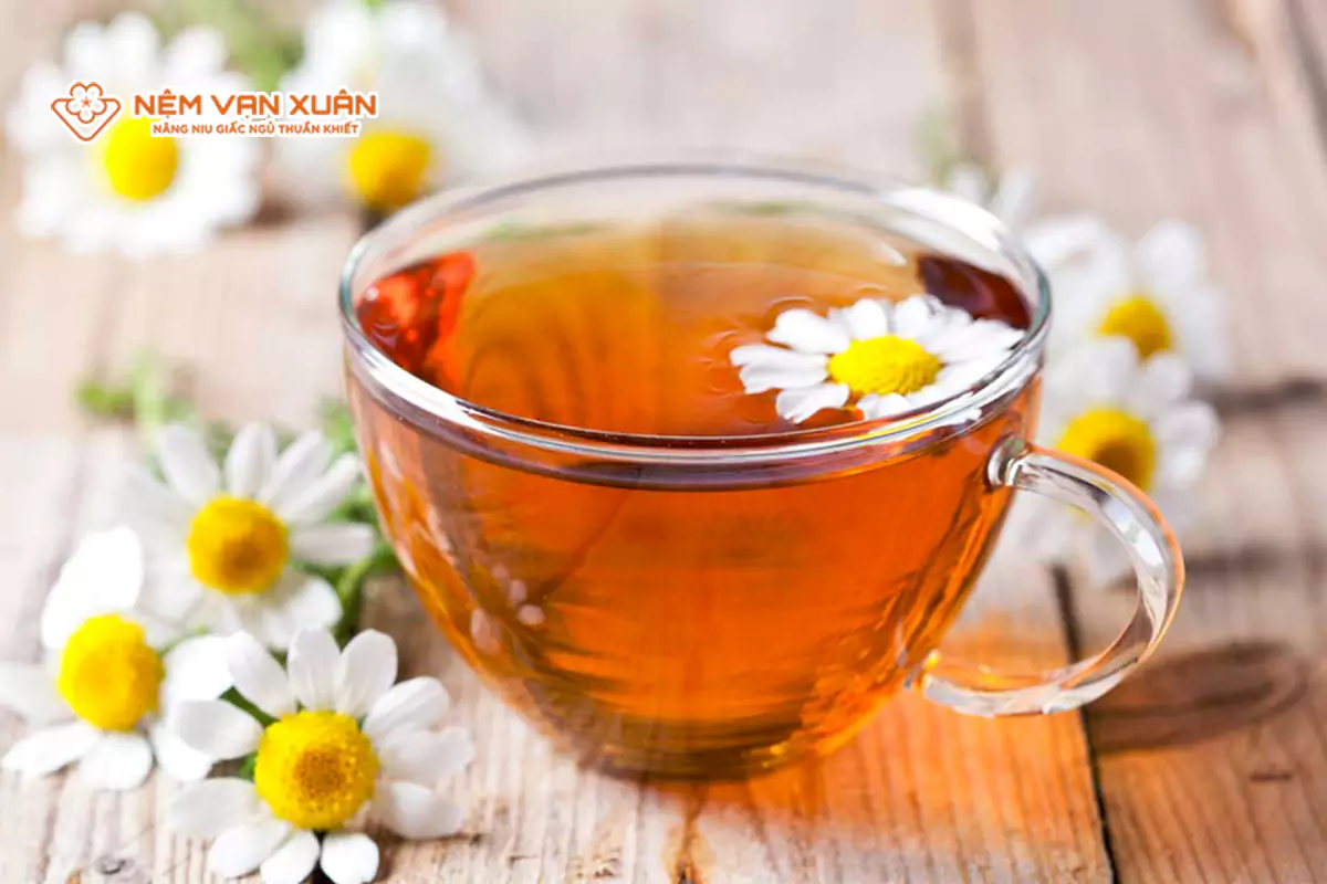 Trà hoa cúc (Chamomile)