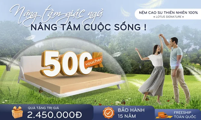 nâng tầm giấc ngủ cuộc sống thăng hoa