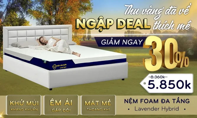 thu vàng đã về ngập deal thích mê